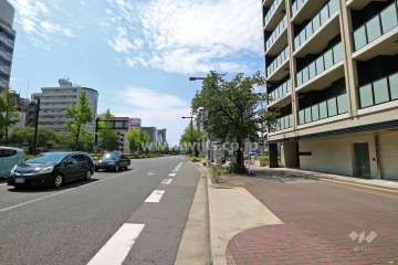 敷地南側の前面道路（東側から）