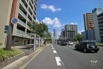 敷地南側の前面道路（西側から）