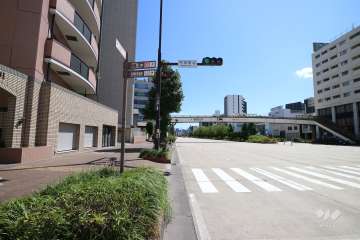 敷地西側の前面道路（北側から）