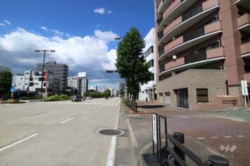 敷地西側の前面道路（南側から）
