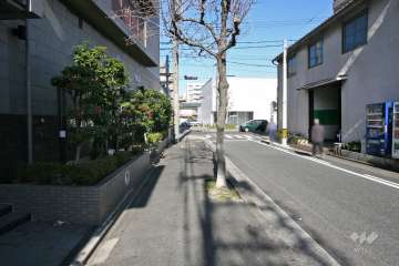 敷地東側の前面道路（南側から）