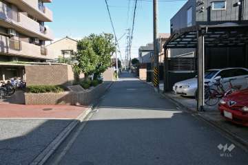 敷地南側の前面道路（西側から）