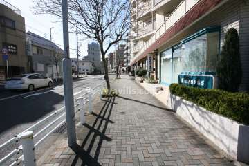 敷地東側の前面道路