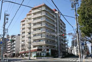 日商岩井徳川ハイツの外観（北東側から）