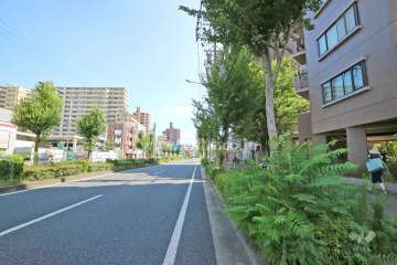 敷地東側の前面道路（北側から）