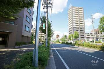 敷地東側の前面道路（南側から）
