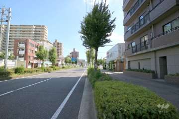 敷地東側の前面道路（北側から）