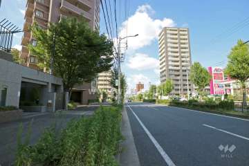 敷地東側の前面道路（南側から）