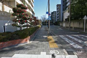 敷地南側の前面道路（西側から）