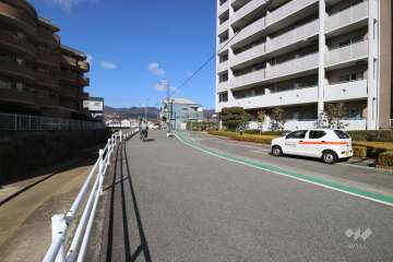 敷地南側の前面道路