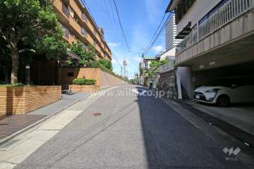 敷地南側の前面道路（西側から）