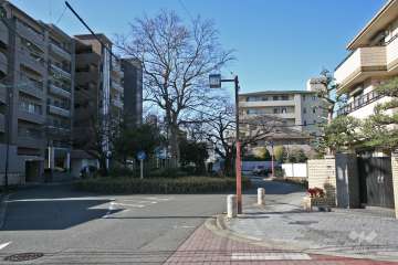 敷地北側は『徳川街園』に面しています。