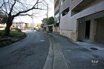 敷地北側の前面道路（西側から）