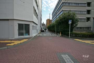 敷地西側の前面道路(北側から)