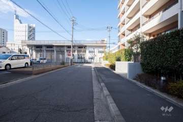 敷地南側の前面道路（東側から）