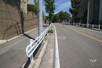 敷地の南側前面道路（西側から）
