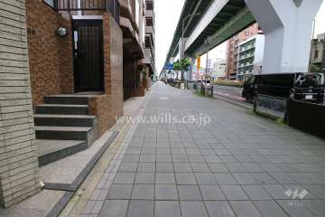 敷地の西側前面道路（北側から）