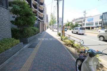 敷地の北側前面道路（東側から）