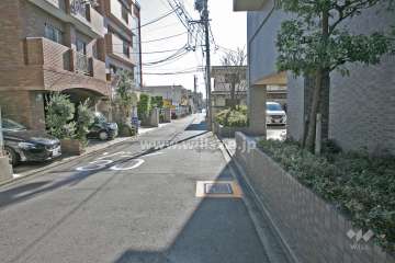 敷地東側の前面道路(北側から)