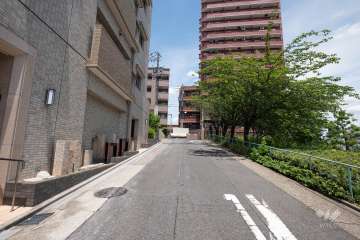 敷地東側の前面道路(南側から)