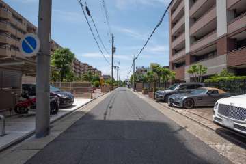 敷地北側の前面道路(西側から)