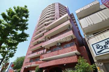 シャンボール芳野の外観（北東側から）