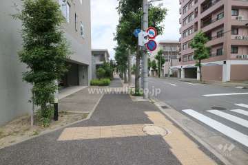敷地東側の前面道路（南側から）
