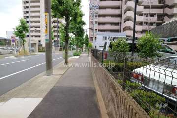 敷地の東側前面道路（北側から）