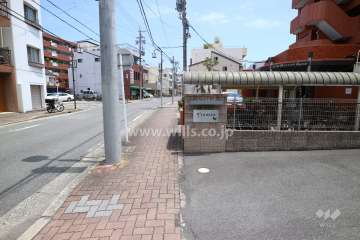 敷地の北側前面道路（西側から）