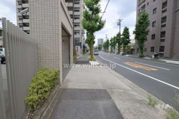 敷地西側の前面道路（北側から）