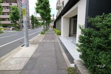 敷地西側の前面道路（南側から）