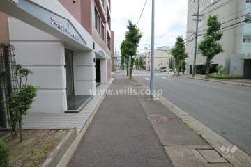 敷地西側の前面道路（北側から）