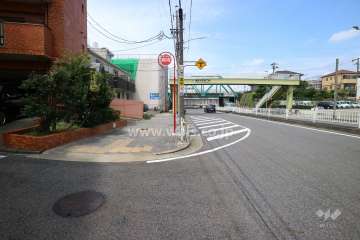 敷地の東側前面道路（南側から）