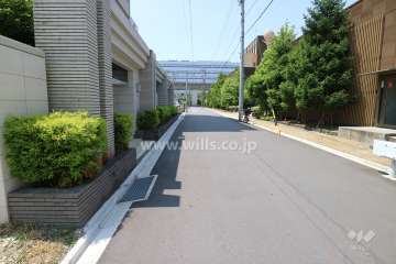 敷地の西側前面道路（北側から）