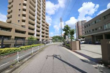 敷地南側の前面道路（西側から）
