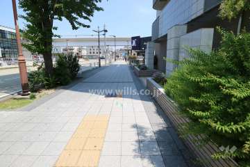 敷地の西側前面道路（南側から）
