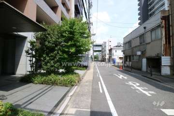 敷地の南側前面道路（西側から）