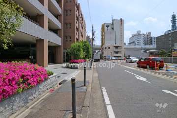敷地の西側前面道路（北側から）