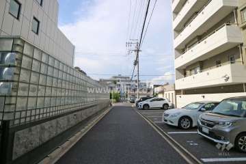 敷地西側の前面道路（南側から）