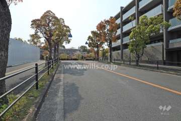 敷地南側の前面道路