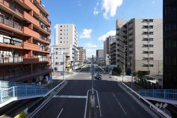 敷地北側の前面道路（県道29号弥富名古屋線）