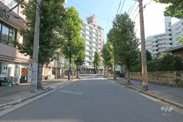 敷地南側の前面道路（西側から）