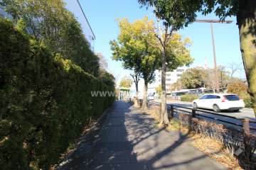 敷地東側の前面道路.交通量の多い通りに面しています.