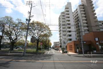 敷地東側の前面道路