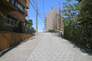 敷地南西側の前面道路（南側から）
