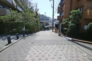 敷地南西側の前面道路（北側から）