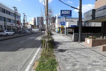 敷地南側の前面道路