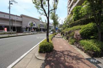 敷地南側の前面道路