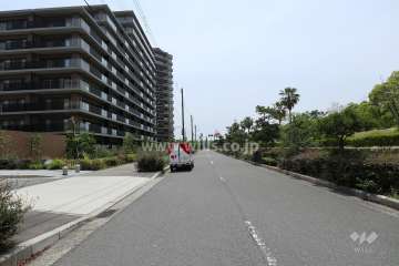 敷地西側の前面道路