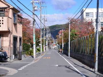 敷地東側前面道路(南側から)